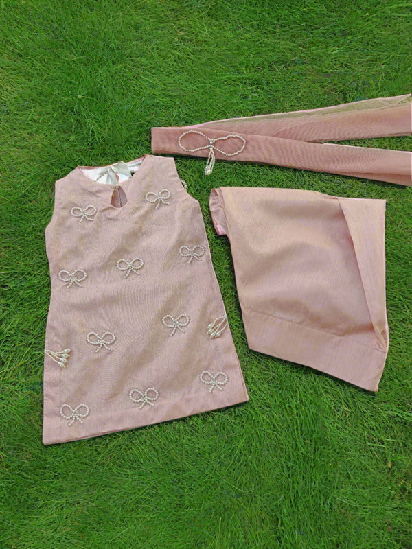 Pink Farshi Set