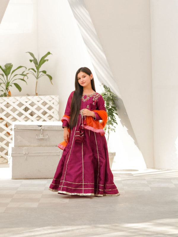 Embroidered Maxi with Organza Dopatta