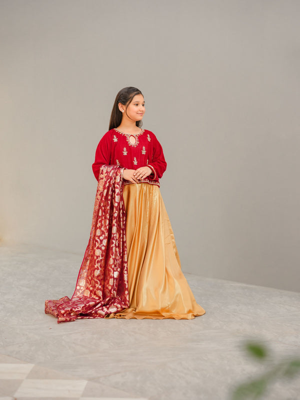 Velvet Lehnga Choli