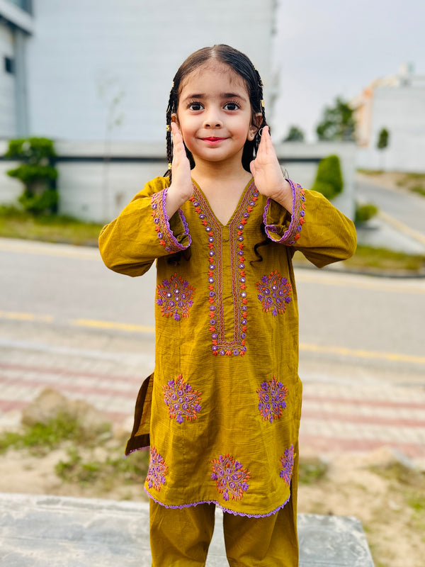 Girls Embroidered Dress