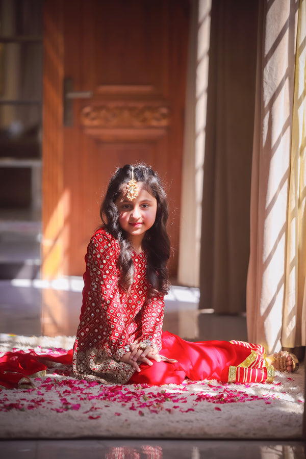 Red Chiffon Dress