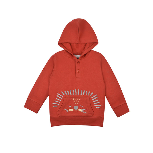 Boys Embroided Hoodie